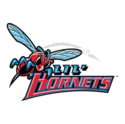 Customs Delaware State Hornets Iron-on Transfers (Wall Stickers)NO.4246